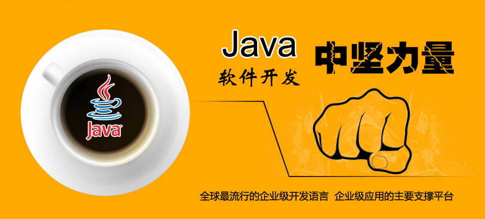 Java语言软件开发中的中坚力量